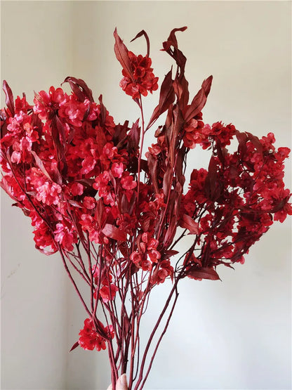 150g Dried Iris Flower Fresh Bouquet Bridal Bouquet Wedding Party Table Decoration DIY Flower Arrangement Home Decoration