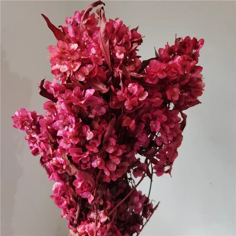 150g Dried Iris Flower Fresh Bouquet Bridal Bouquet Wedding Party Table Decoration DIY Flower Arrangement Home Decoration