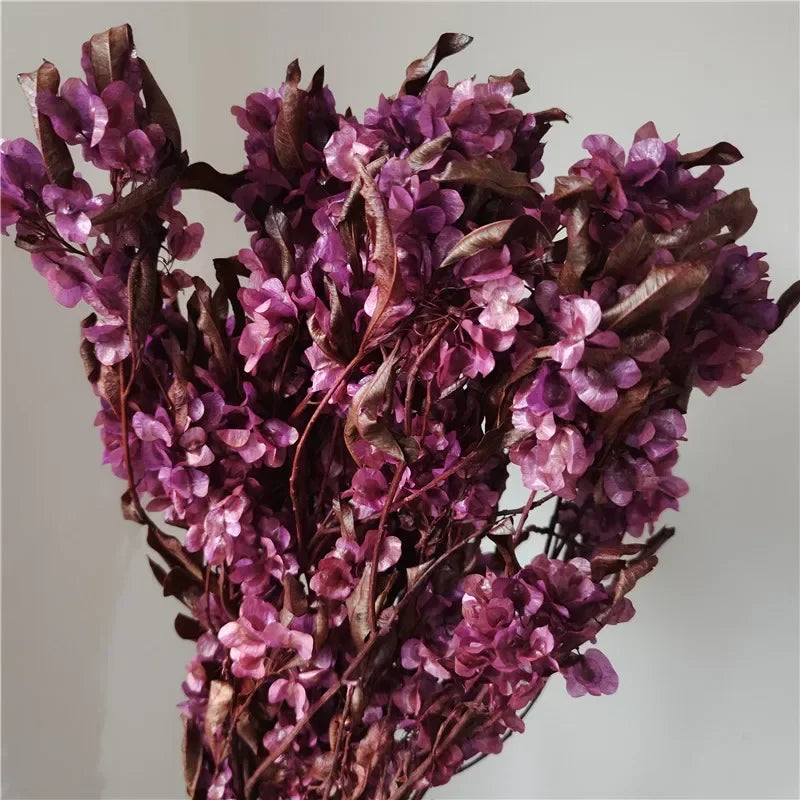 150g Dried Iris Flower Fresh Bouquet Bridal Bouquet Wedding Party Table Decoration DIY Flower Arrangement Home Decoration