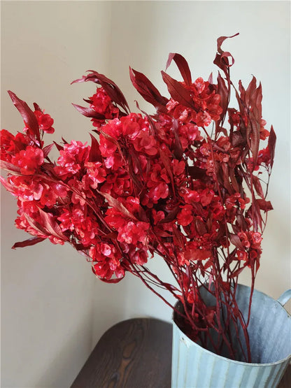 150g Dried Iris Flower Fresh Bouquet Bridal Bouquet Wedding Party Table Decoration DIY Flower Arrangement Home Decoration
