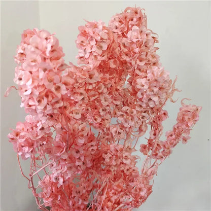 150g Dried Iris Flower Fresh Bouquet Bridal Bouquet Wedding Party Table Decoration DIY Flower Arrangement Home Decoration