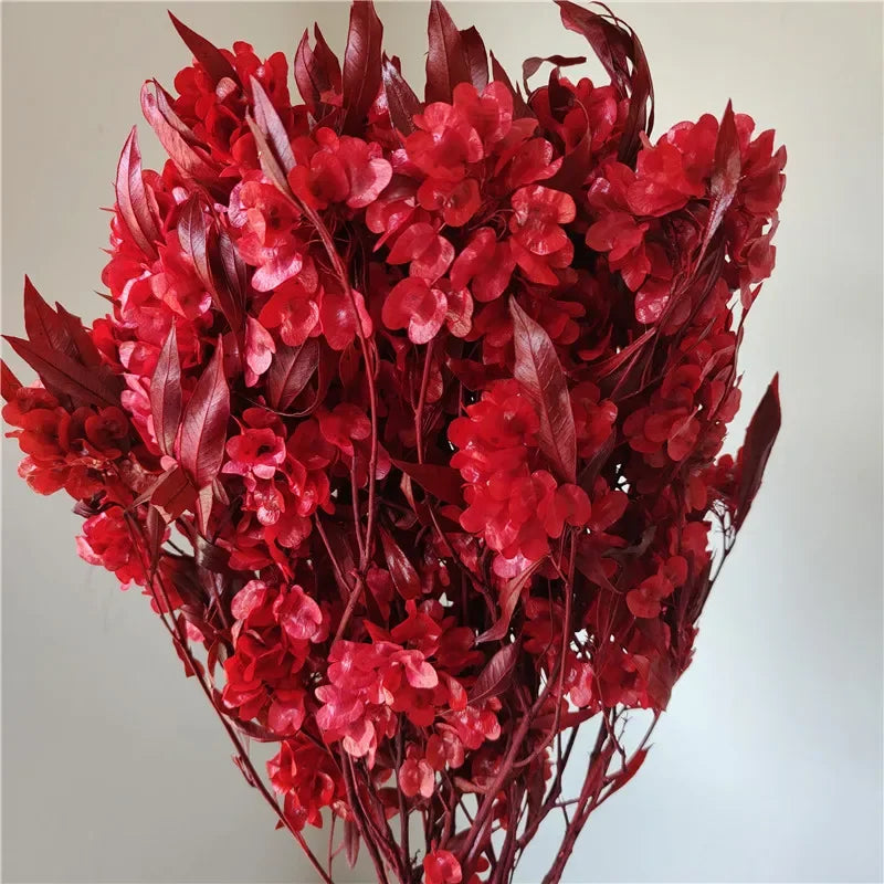 150g Dried Iris Flower Fresh Bouquet Bridal Bouquet Wedding Party Table Decoration DIY Flower Arrangement Home Decoration