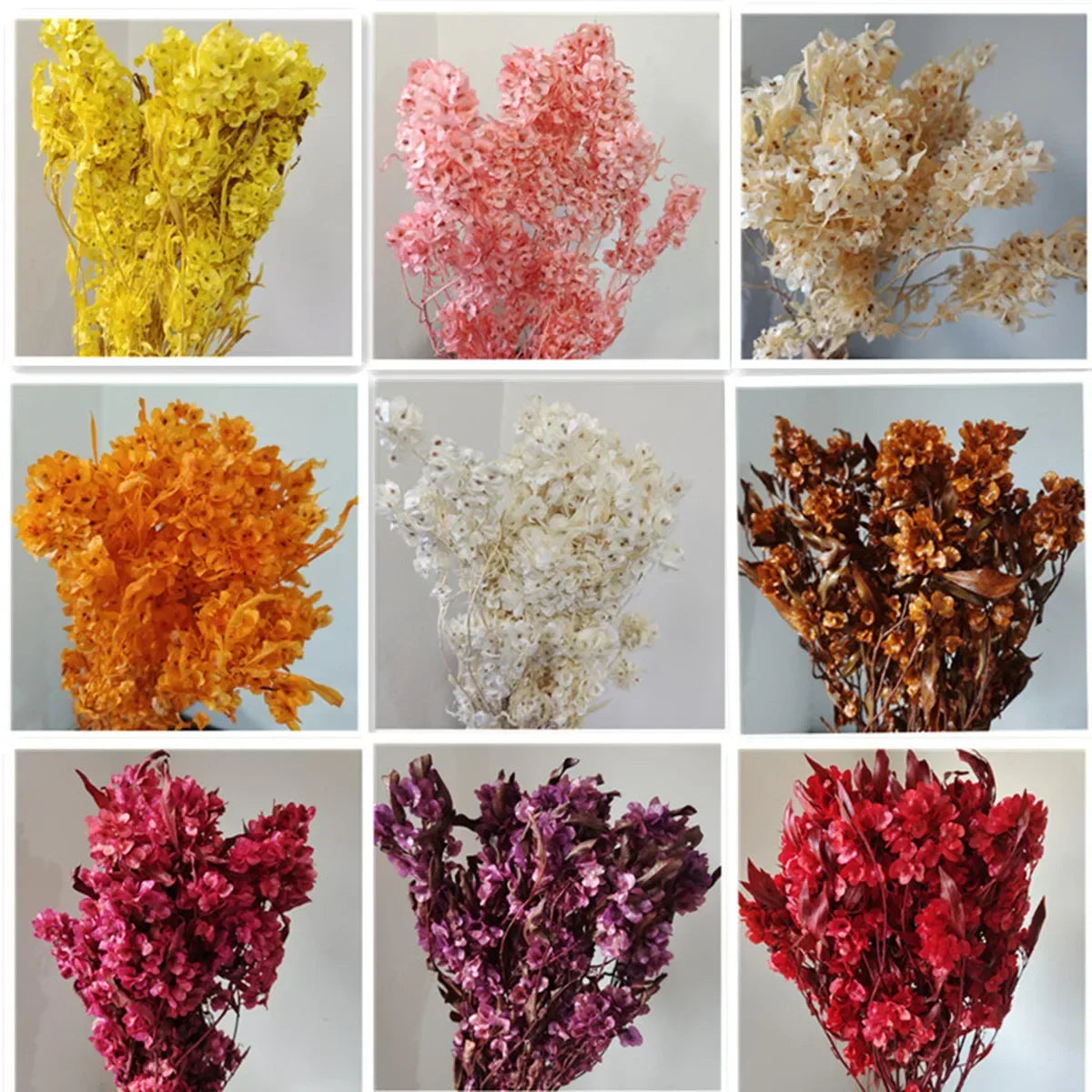 150g Dried Iris Flower Fresh Bouquet Bridal Bouquet Wedding Party Table Decoration DIY Flower Arrangement Home Decoration