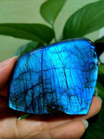 Small  Natural Stone Blue Labradorite Crystal Freeform Witchcraft Meditation Energy Feng Shui Crystal Room Decor
