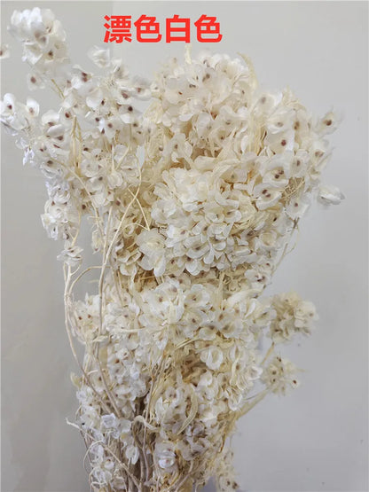 150g Dried Iris Flower Fresh Bouquet Bridal Bouquet Wedding Party Table Decoration DIY Flower Arrangement Home Decoration