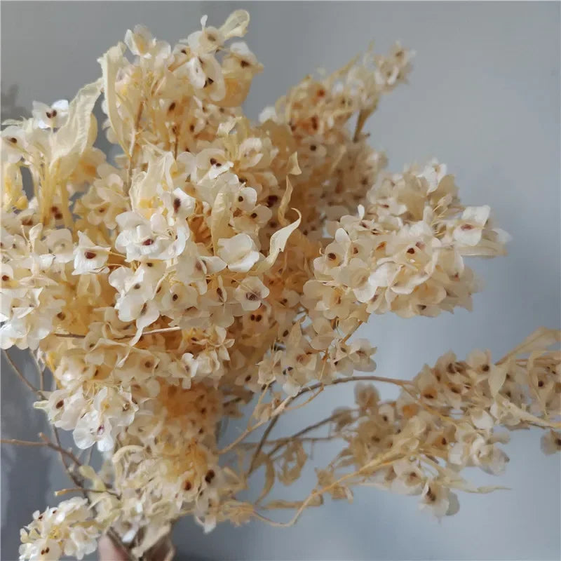 150g Dried Iris Flower Fresh Bouquet Bridal Bouquet Wedding Party Table Decoration DIY Flower Arrangement Home Decoration