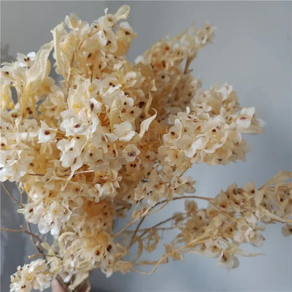 150g Dried Iris Flower Fresh Bouquet Bridal Bouquet Wedding Party Table Decoration DIY Flower Arrangement Home Decoration