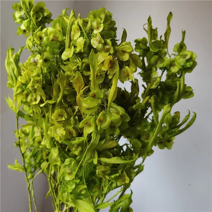 150g Dried Iris Flower Fresh Bouquet Bridal Bouquet Wedding Party Table Decoration DIY Flower Arrangement Home Decoration