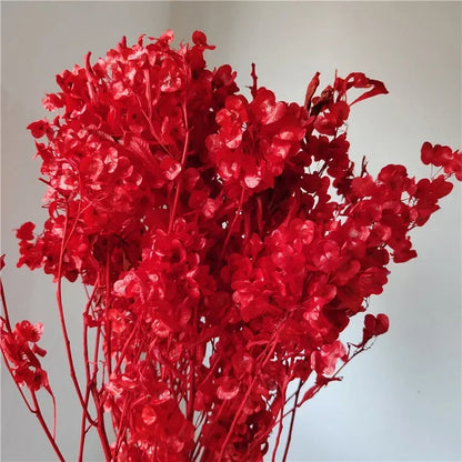 150g Dried Iris Flower Fresh Bouquet Bridal Bouquet Wedding Party Table Decoration DIY Flower Arrangement Home Decoration