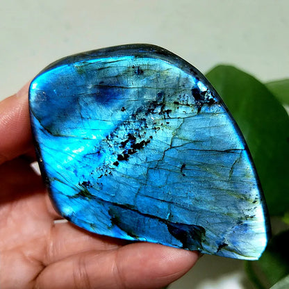 Small  Natural Stone Blue Labradorite Crystal Freeform Witchcraft Meditation Energy Feng Shui Crystal Room Decor