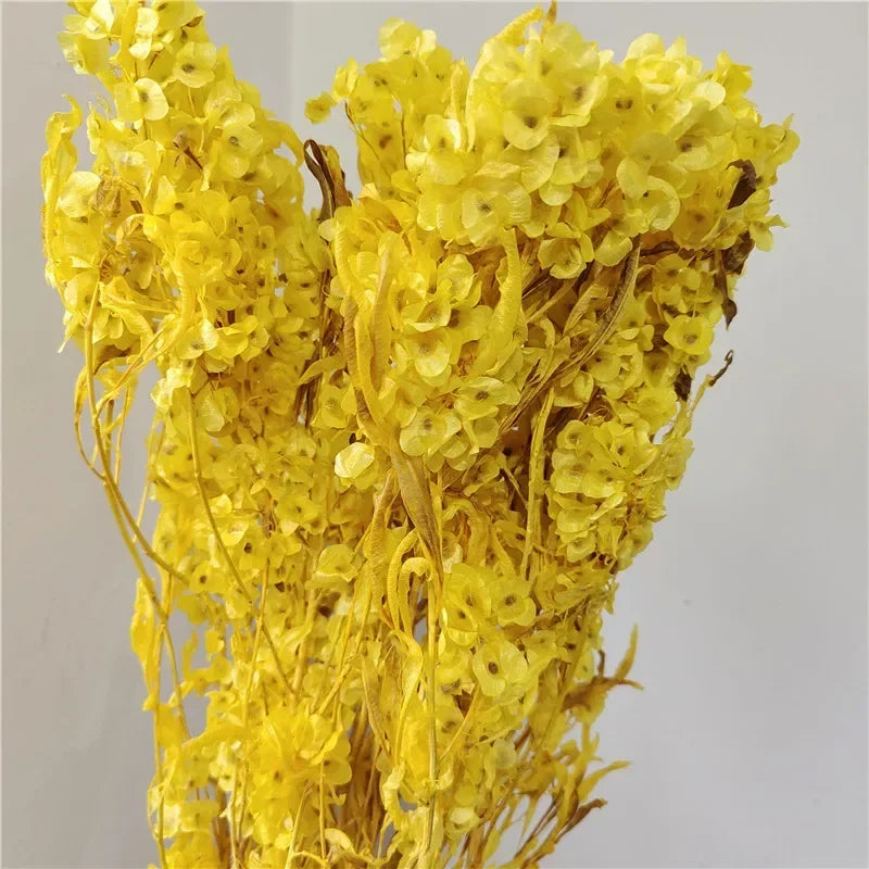 150g Dried Iris Flower Fresh Bouquet Bridal Bouquet Wedding Party Table Decoration DIY Flower Arrangement Home Decoration