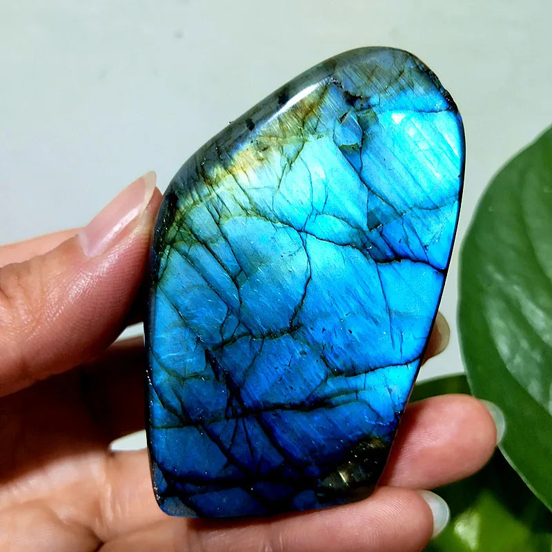 Small  Natural Stone Blue Labradorite Crystal Freeform Witchcraft Meditation Energy Feng Shui Crystal Room Decor