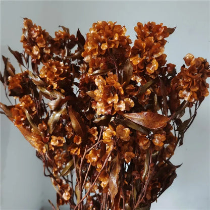 150g Dried Iris Flower Fresh Bouquet Bridal Bouquet Wedding Party Table Decoration DIY Flower Arrangement Home Decoration