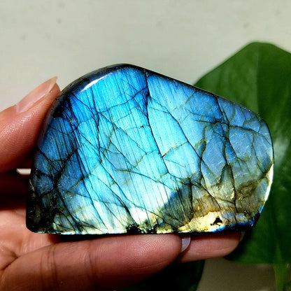 Small  Natural Stone Blue Labradorite Crystal Freeform Witchcraft Meditation Energy Feng Shui Crystal Room Decor