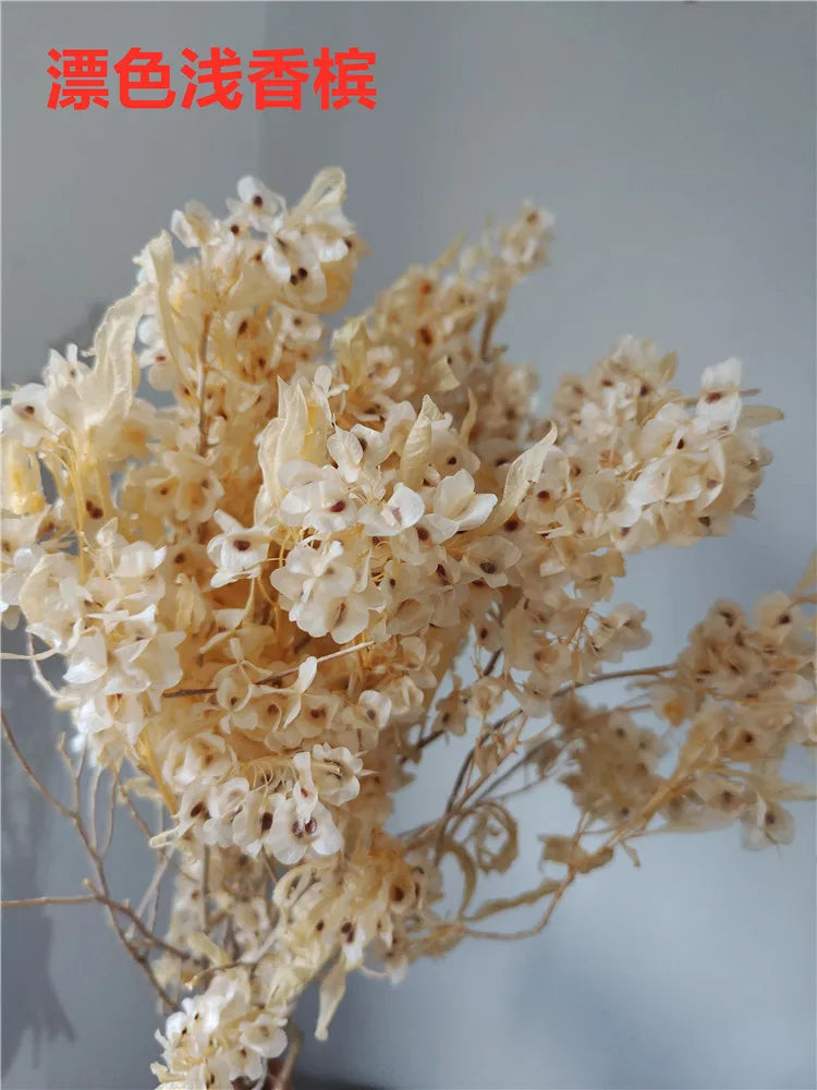 150g Dried Iris Flower Fresh Bouquet Bridal Bouquet Wedding Party Table Decoration DIY Flower Arrangement Home Decoration