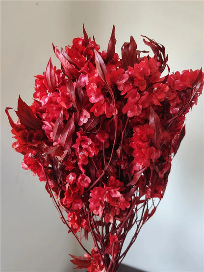 150g Dried Iris Flower Fresh Bouquet Bridal Bouquet Wedding Party Table Decoration DIY Flower Arrangement Home Decoration