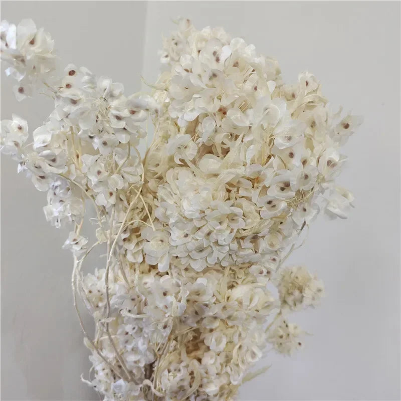 150g Dried Iris Flower Fresh Bouquet Bridal Bouquet Wedding Party Table Decoration DIY Flower Arrangement Home Decoration