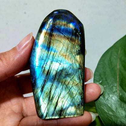 Small  Natural Stone Blue Labradorite Crystal Freeform Witchcraft Meditation Energy Feng Shui Crystal Room Decor