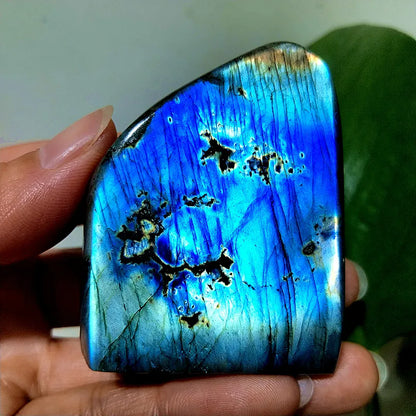 Small  Natural Stone Blue Labradorite Crystal Freeform Witchcraft Meditation Energy Feng Shui Crystal Room Decor
