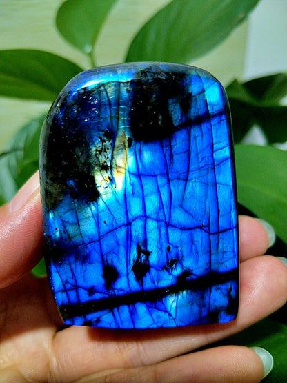 Small  Natural Stone Blue Labradorite Crystal Freeform Witchcraft Meditation Energy Feng Shui Crystal Room Decor