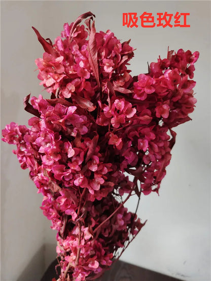 150g Dried Iris Flower Fresh Bouquet Bridal Bouquet Wedding Party Table Decoration DIY Flower Arrangement Home Decoration