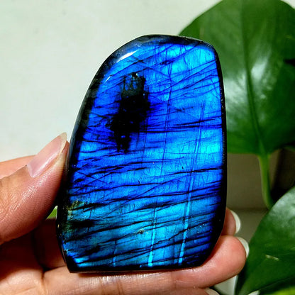 Small  Natural Stone Blue Labradorite Crystal Freeform Witchcraft Meditation Energy Feng Shui Crystal Room Decor