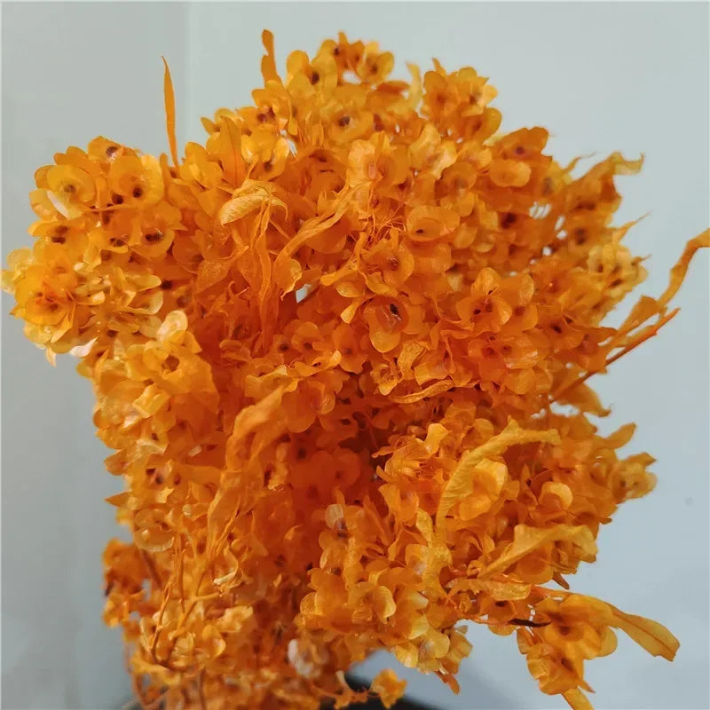 150g Dried Iris Flower Fresh Bouquet Bridal Bouquet Wedding Party Table Decoration DIY Flower Arrangement Home Decoration