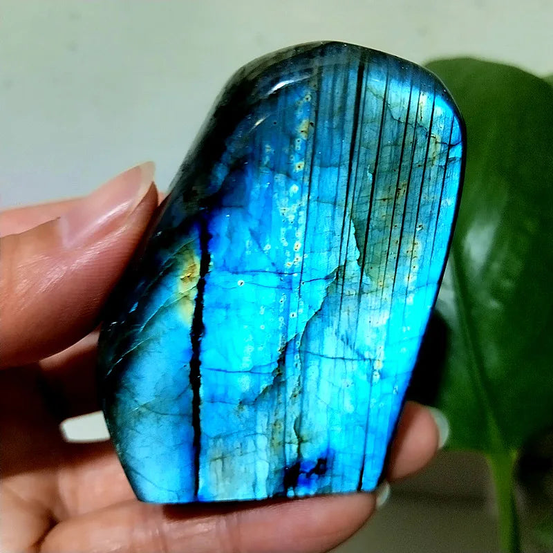 Small  Natural Stone Blue Labradorite Crystal Freeform Witchcraft Meditation Energy Feng Shui Crystal Room Decor